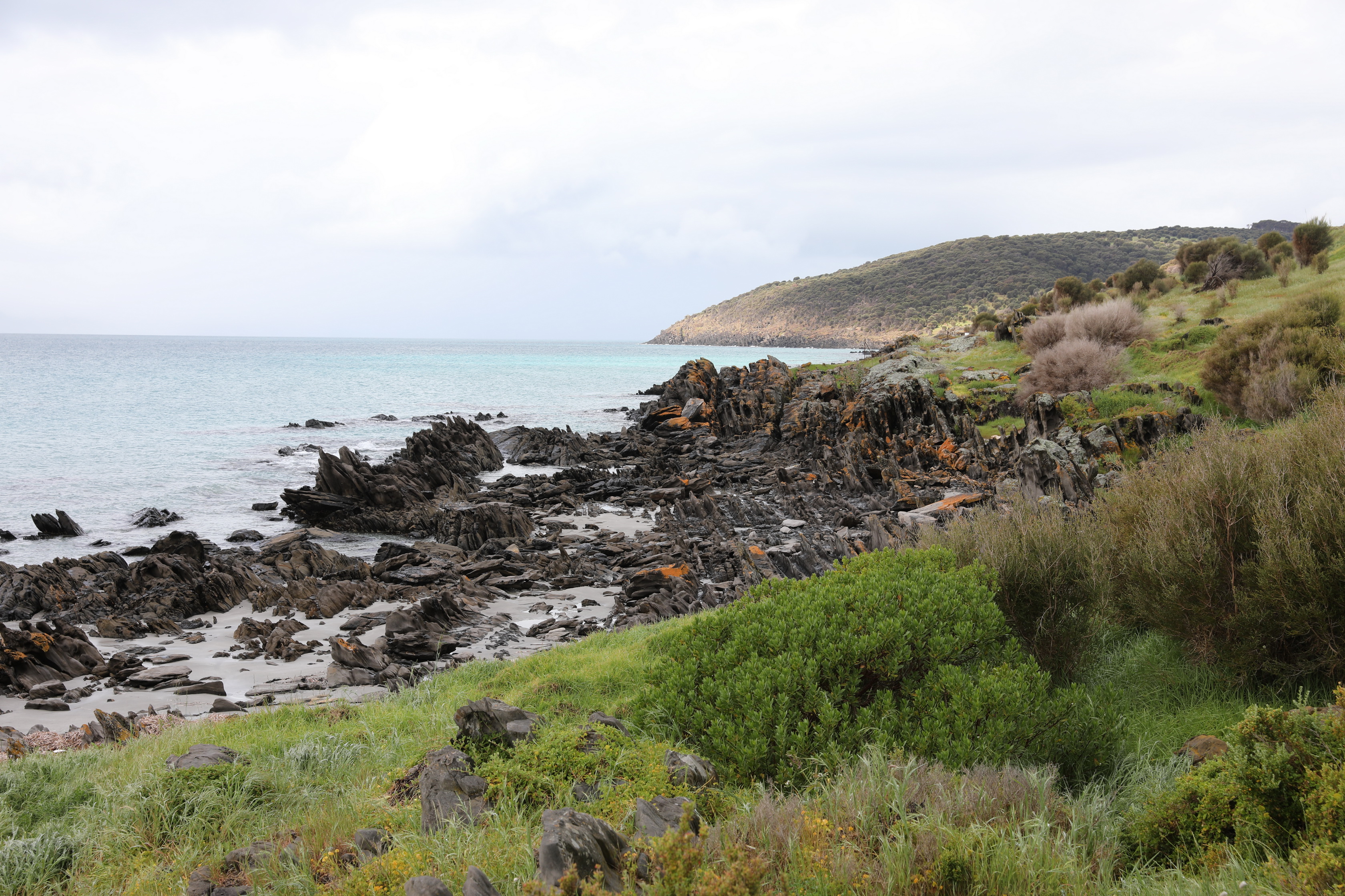 2019 10 07 14 35 15 Canon EOS 5D Mark IV 0020